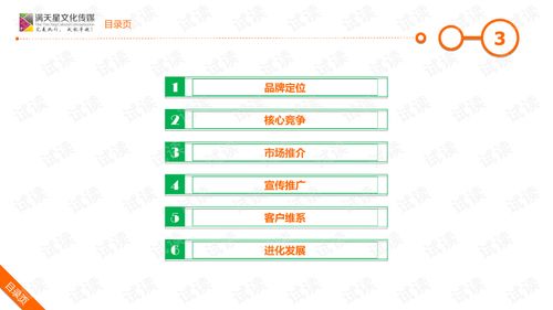 大米姐品牌營銷策劃案 企業形象策劃與商業計劃書精品模板